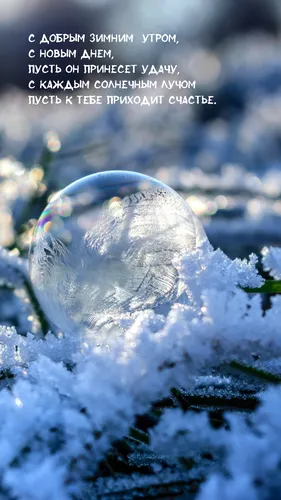 С Добрым Зимним Утром Картинки снежный шар крупным планом