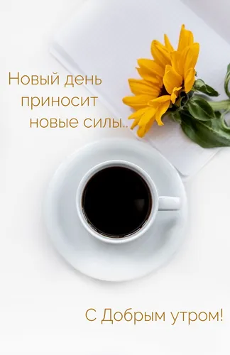 С Добрым Утром Новые Картинки чашка кофе с цветком