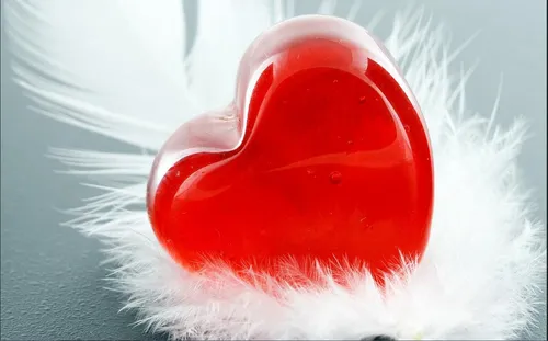 Сердечки Картинки красно-белый тюлень