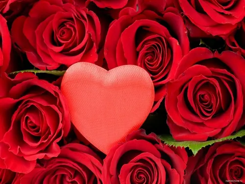 Сердечки Картинки группа красных роз