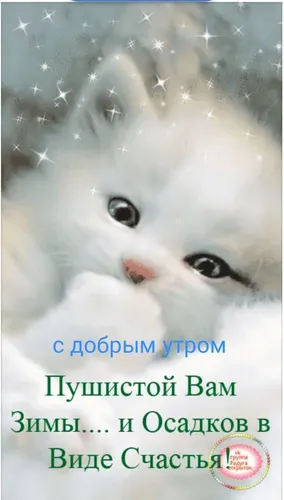 Прикольные Доброе Утро Зима Картинки кот с грустным лицом