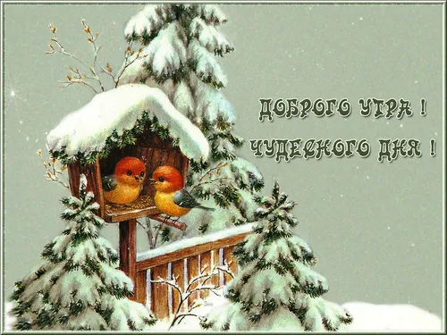 Прикольные Доброе Утро Зима Картинки группа птиц на дереве