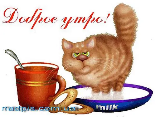 Прикольные Доброе Утро Зима Картинки кошка с ложкой во рту