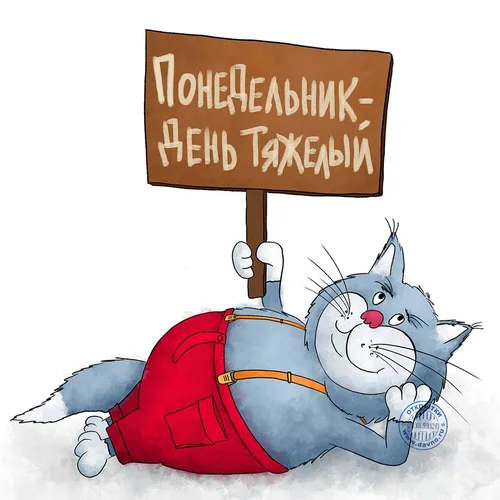 Прощеное Воскресенье Прикольные Картинки карикатура кота с табличкой