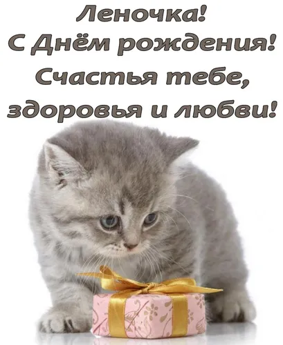 С Днем Рождения Лена Картинки кот с галстуком-бабочкой