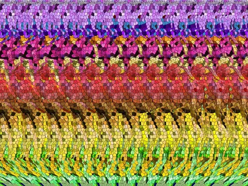 Стерео Картинки большая группа разноцветных цветов