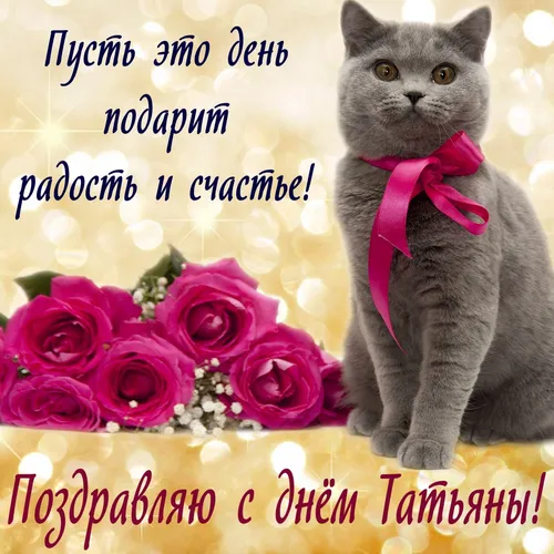 Татьянин День Поздравления Картинки кошка в розовом галстуке-бабочке