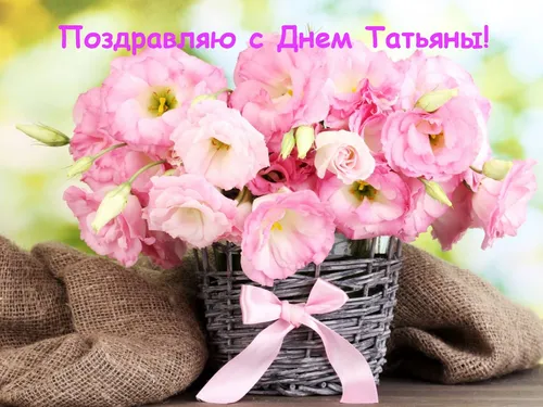 Татьянин День Поздравления Картинки корзина розовых цветов