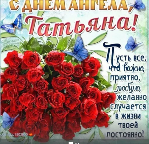 Татьянин День Поздравления Картинки букет красных роз