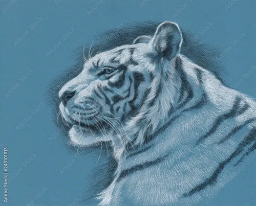Тигр Картинки эстетика