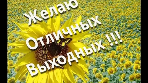 Хороших Выходных Картинки для телефона