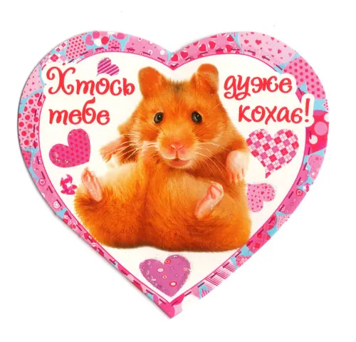 Валентинки Картинки кот в упаковке в форме сердца