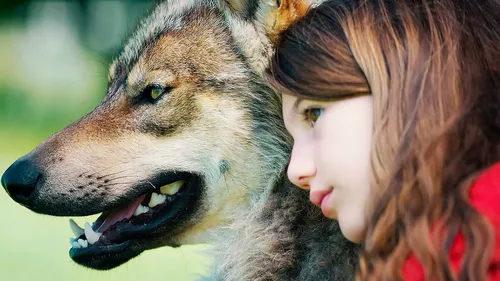 Волк Картинки человек целует волка