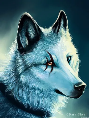 Волк Картинки волк с голубым фоном