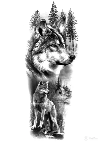 Волк Картинки волк и собака в снегу