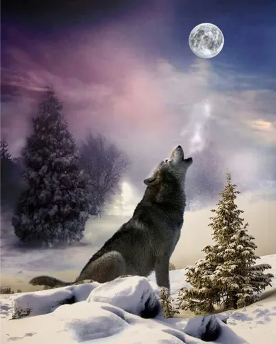 Волк Картинки волк, воющий в снегу
