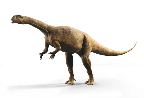 Динозавры Картинки динозавр с длинной шеей