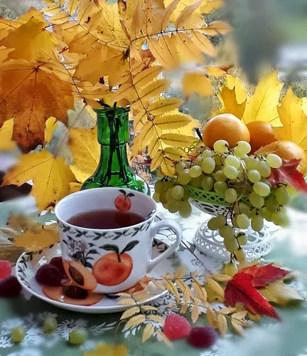 Доброе Осеннее Утро Картинки чашка чая и цветы