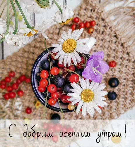 Доброе Осеннее Утро Картинки тарелка ягод и цветов
