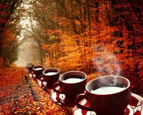 Доброе Осеннее Утро Картинки группа кофейных чашек на столе с деревьями на заднем плане