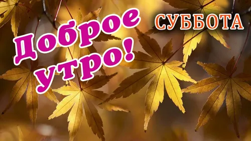 Доброе Утро Суббота Картинки группа листьев