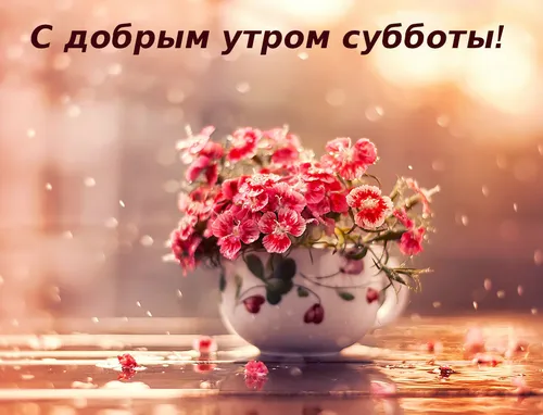 Доброе Утро Суббота Картинки ваза с розовыми цветами