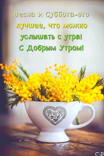 Доброе Утро Суббота Картинки чашка желтых цветов