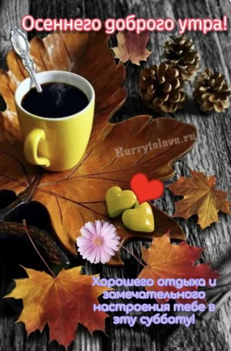 Доброе Утро Суббота Картинки чашка кофе и несколько листьев