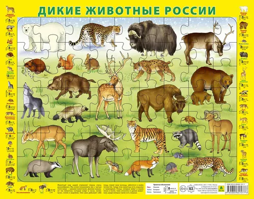Животные Картинки карта
