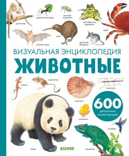 Животные Картинки обложка книги с пандой и бабочками
