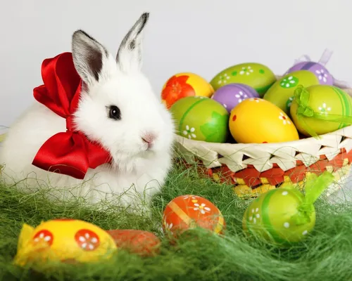 Картинк Пасха Картинки кролик в корзине яиц