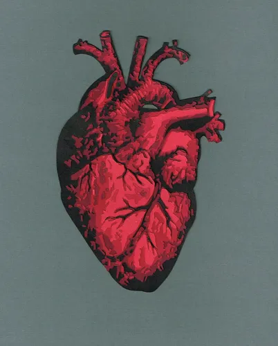 Картинка Сердце Картинки красно-черное сердце