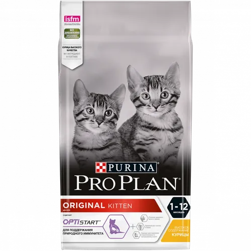 Котят Картинки плакат с изображением двух кошек