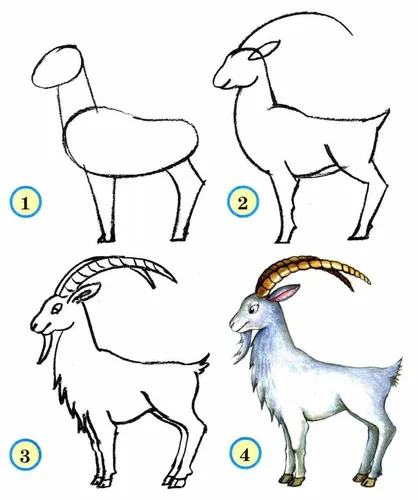 Рисовать Картинки рисунок козы