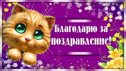 Спасибо За Поздравления Картинки кошка с зелеными глазами