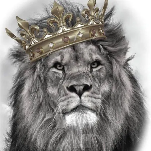 Лев Картинки лев в короне