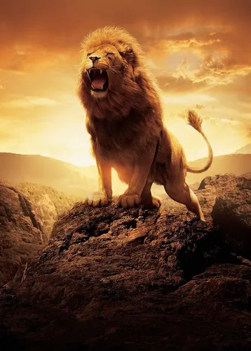 Лев Картинки лев, стоящий на скале