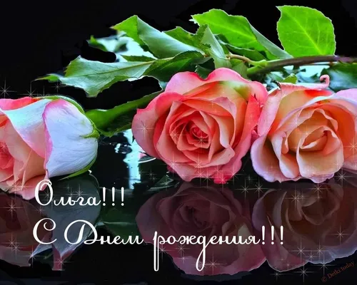 Оля С Днем Рождения Картинки группа розовых роз