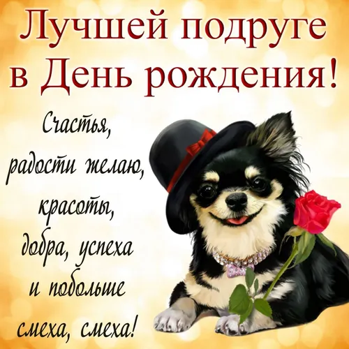 Прикольные С Днем Рождения Подруге Картинки собака в шляпе с розой