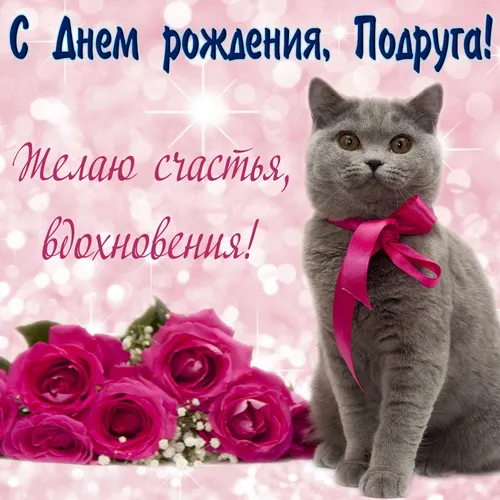 Прикольные С Днем Рождения Подруге Картинки кошка в галстуке-бабочке