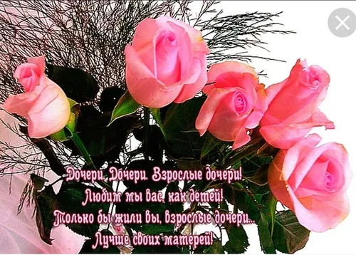 Родителям С Днем Рождения Дочки Картинки группа розовых роз