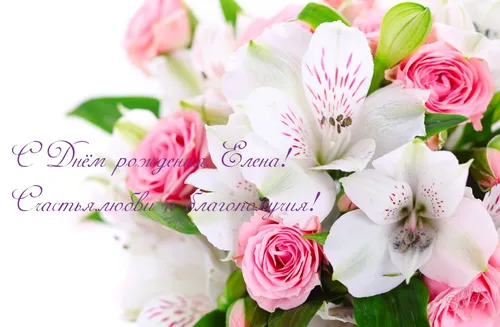 С Днем Рождения Елена Картинки букет розовых и белых цветов