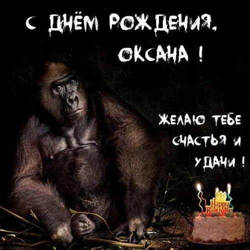 С Днем Рождения Оксана Картинки обезьяна, сидящая на скале