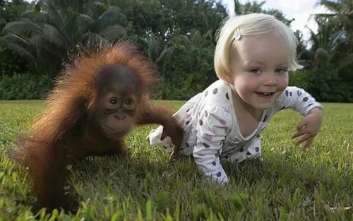 Смешные Людей Картинки ребенок и обезьяна в траве