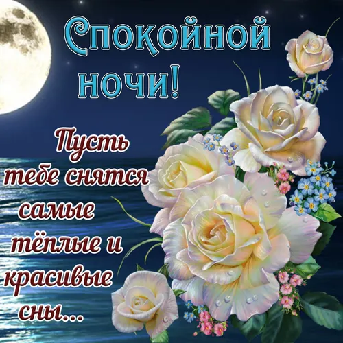 Спокойной Ночи Красивые Картинки группа цветов