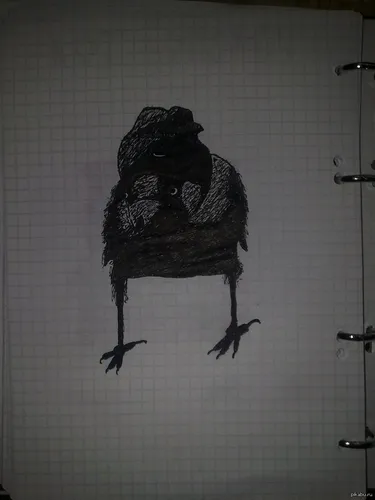 Срисовать Картинки черная птица на белой плиточной поверхности