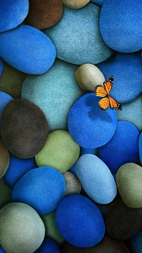 Фоновые Картинки бабочка на скале