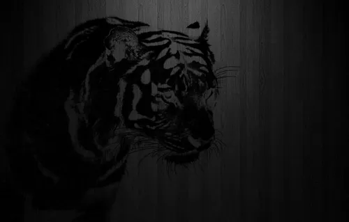 Черные Картинки черно-белая фотография тигра