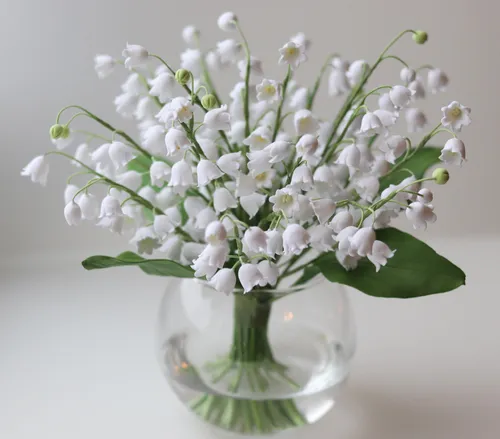Весенние Картинки ваза с белыми цветами