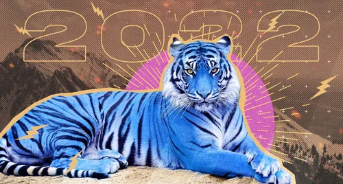 Год Тигра Картинки тигр лежа